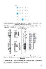 Thực Tập Di Truyền Y Học (Sách Dành Cho Sinh Viên) - ĐH Y Hà Nội