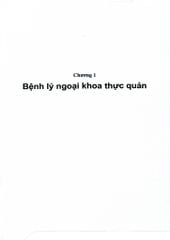 Bệnh Học Ngoại Khoa Tiêu Hoá (Dùng Cho Đào Tạo Sau Đại Học) - ĐH Y Hà Nội
