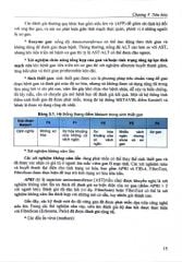 Bệnh Học Nội Khoa Tập 2 (ĐTĐH - 2025) - ĐH Y Hà Nội