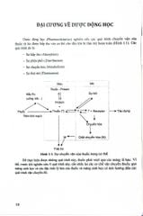 Dược Lý Học Lâm Sàng - ĐH Y Hà Nôi, GS.TS. Đào Văn Phan, TS. Nguyễn Trọng Thông, PGS TS Nguyễn Trần Giáng Hương
