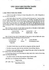 Dược Lý Học Lâm Sàng - ĐH Y Hà Nôi, GS.TS. Đào Văn Phan, TS. Nguyễn Trọng Thông, PGS TS Nguyễn Trần Giáng Hương