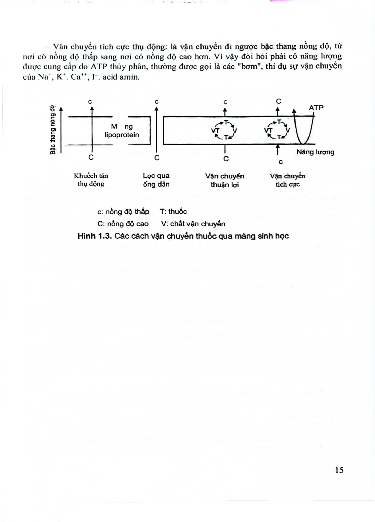 Dược Lý Học Lâm Sàng - ĐH Y Hà Nôi, GS.TS. Đào Văn Phan, TS. Nguyễn Trọng Thông, PGS TS Nguyễn Trần Giáng Hương