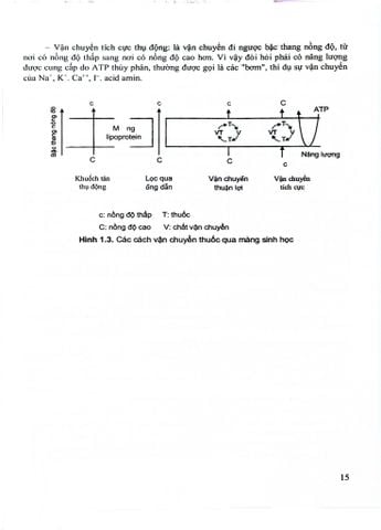  Dược Lý Học Lâm Sàng - ĐH Y Hà Nôi, GS.TS. Đào Văn Phan, TS. Nguyễn Trọng Thông, PGS TS Nguyễn Trần Giáng Hương 