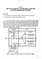 Dược Lý Học Tập 1 - Bộ Y tế, PGS.TS.Mai Tất Tố, TS. Vũ Thị Trâm, ThS. Đào Thị Vui