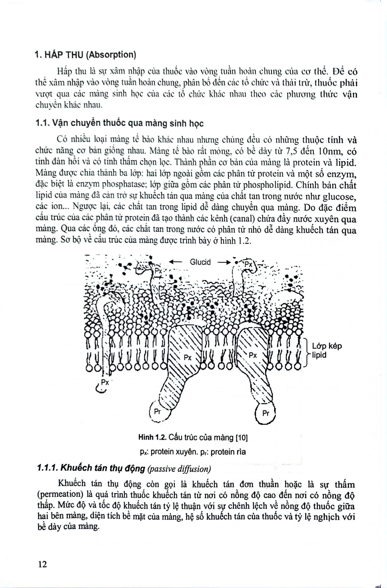 Dược Lý Học Tập 1 - Bộ Y tế, PGS.TS.Mai Tất Tố, TS. Vũ Thị Trâm, ThS. Đào Thị Vui