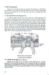 Dược Lý Học Tập 1 - Bộ Y tế, PGS.TS.Mai Tất Tố, TS. Vũ Thị Trâm, ThS. Đào Thị Vui