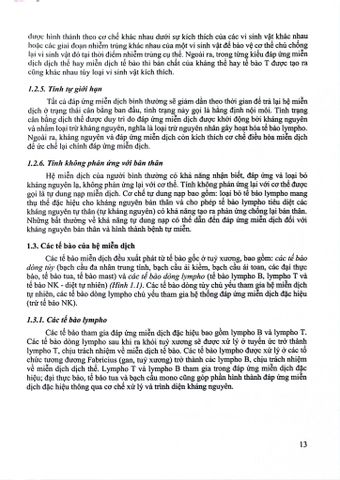  Bệnh Học - Bộ Y Tế, PGS.TS Lê Thị Luyến 