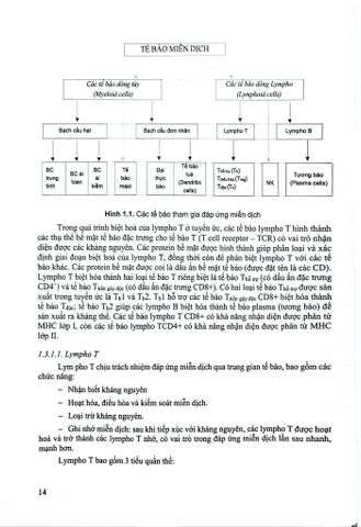  Bệnh Học - Bộ Y Tế, PGS.TS Lê Thị Luyến 