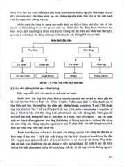 Bài Giảng Nhi Khoa Tập 1 - ĐH Y Hà Nội, PGS.TS. Nguyễn Thị Diệu Thúy