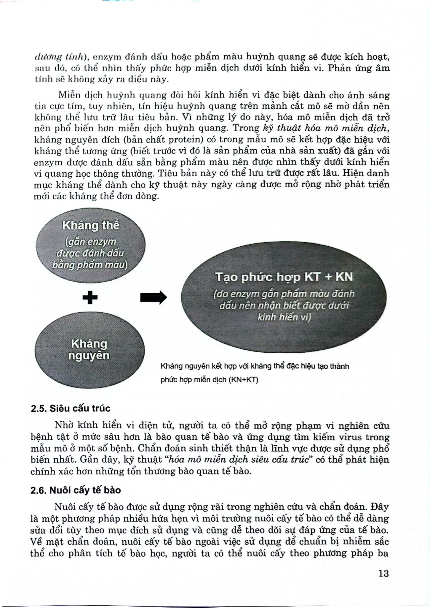 Giải Phẫu Bệnh Học - ĐH Y Hà Nội, PGS.TS. Nguyễn Văn Hưng