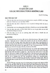 Bệnh Học Lao Và Các Bệnh Phổi Tập 1 (Giáo Trình Đào Tạo Sau Đại Học) - ĐH Y Hà Nội