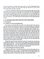 Bệnh Học Lao Và Các Bệnh Phổi Tập 2 (SĐH) - ĐH Y Hà Nội