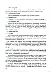 Bệnh Học Lao Và Các Bệnh Phổi Tập 2 (SĐH) - ĐH Y Hà Nội