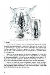 Sản Khoa - ĐH Y Hà Nội