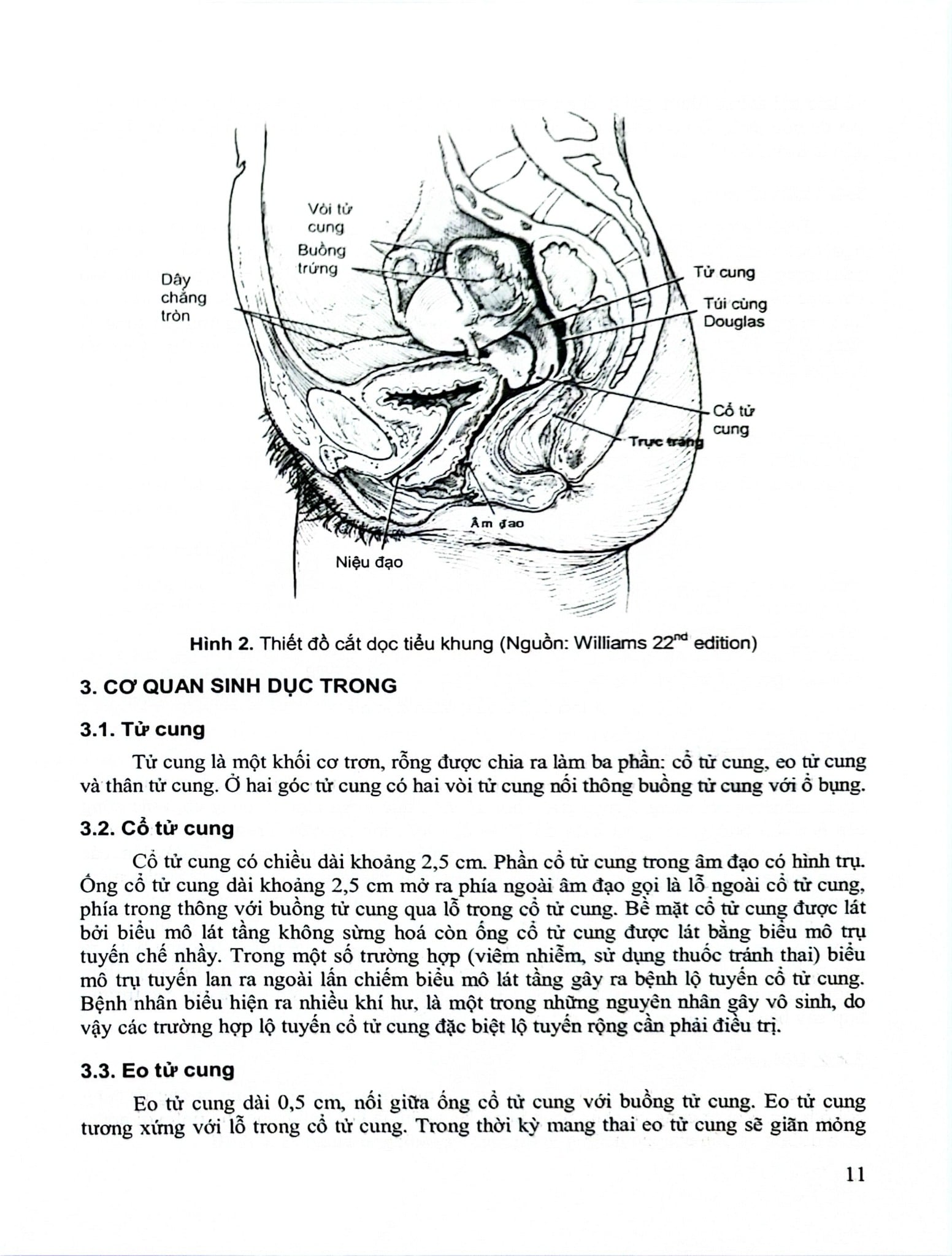 Sản Khoa - ĐH Y Hà Nội