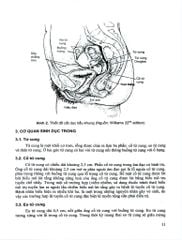 Sản Khoa - ĐH Y Hà Nội