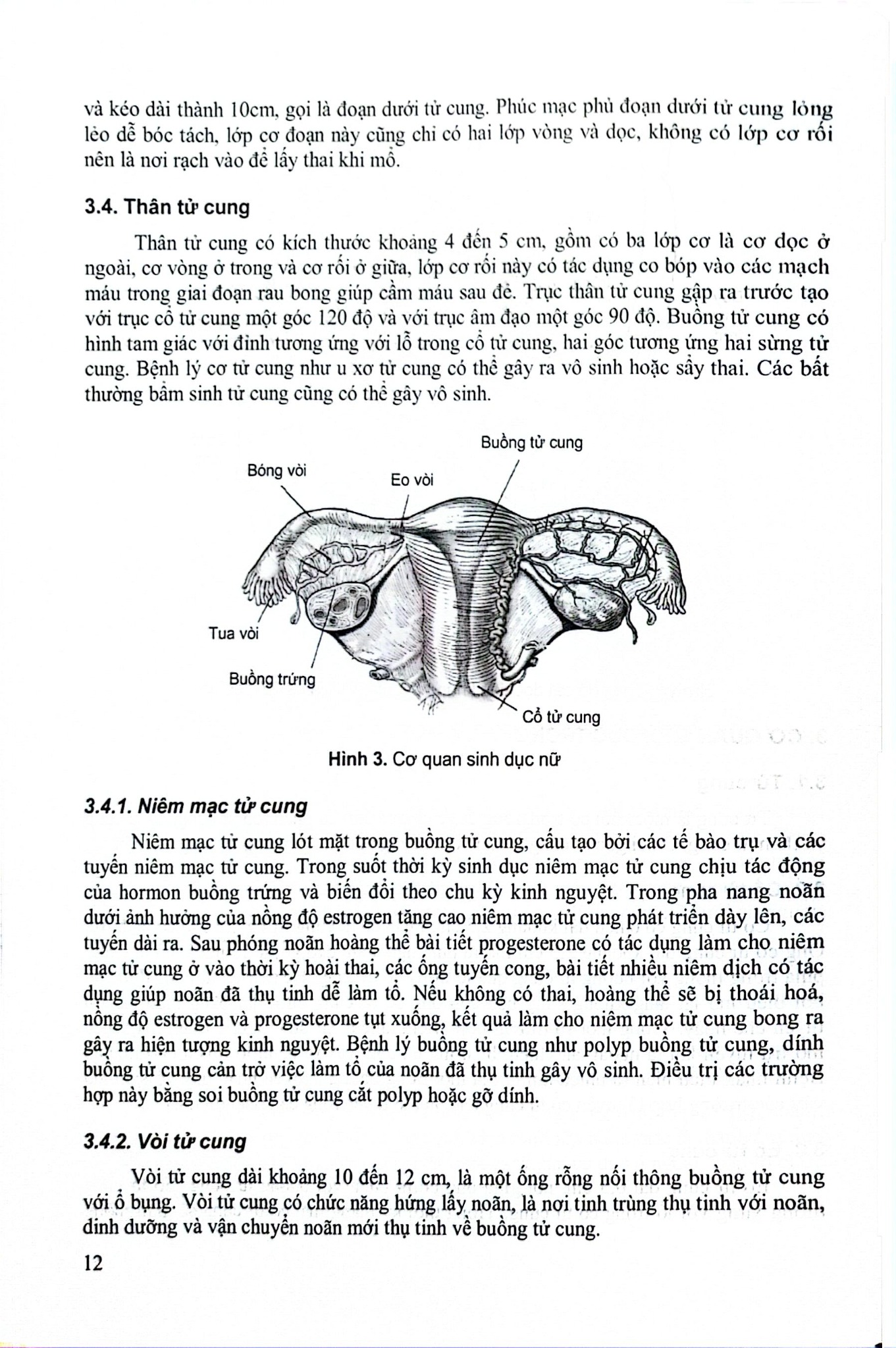 Sản Khoa - ĐH Y Hà Nội