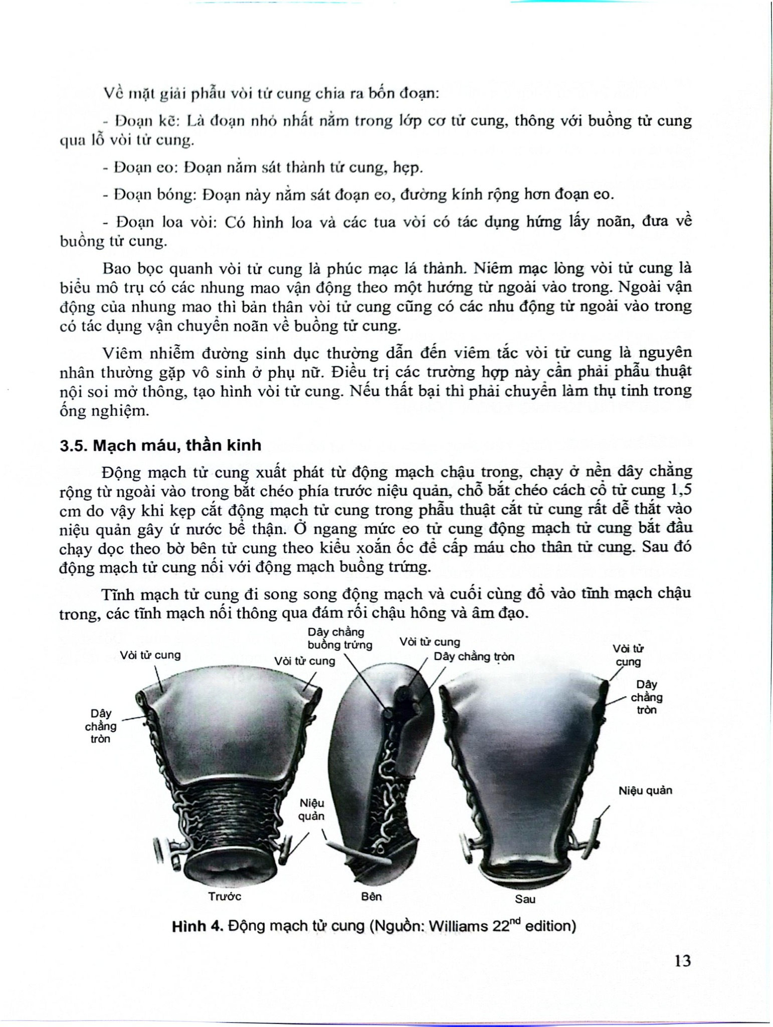 Sản Khoa - ĐH Y Hà Nội