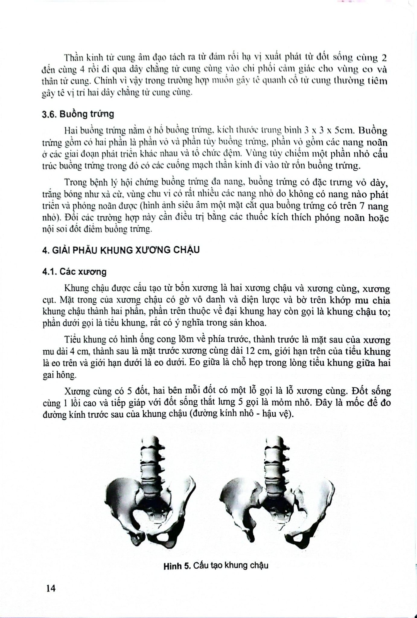 Sản Khoa - ĐH Y Hà Nội
