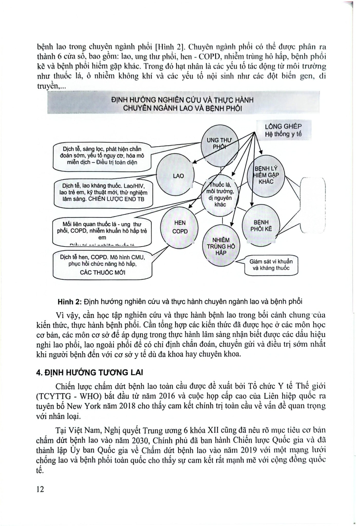 Bệnh Lao Và Tiến Trình Chấm Dứt Bệnh Lao - ĐH Dược Hà Nội