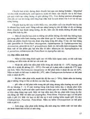 Ký Sinh Trùng Y Học Tập 2 (Giáo Trình Sau Đại Học) - ĐH Dược Hà Nội