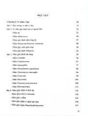 Ký Sinh Trùng Y Học Tập 2 (Giáo Trình Sau Đại Học) - ĐH Dược Hà Nội