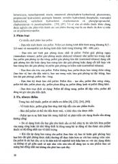 Kỹ Thuật Bào Chế Pellet - ĐH Dược Hà Nội