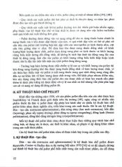 Kỹ Thuật Bào Chế Pellet - ĐH Dược Hà Nội