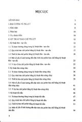 Kỹ Thuật Bào Chế Pellet - ĐH Dược Hà Nội