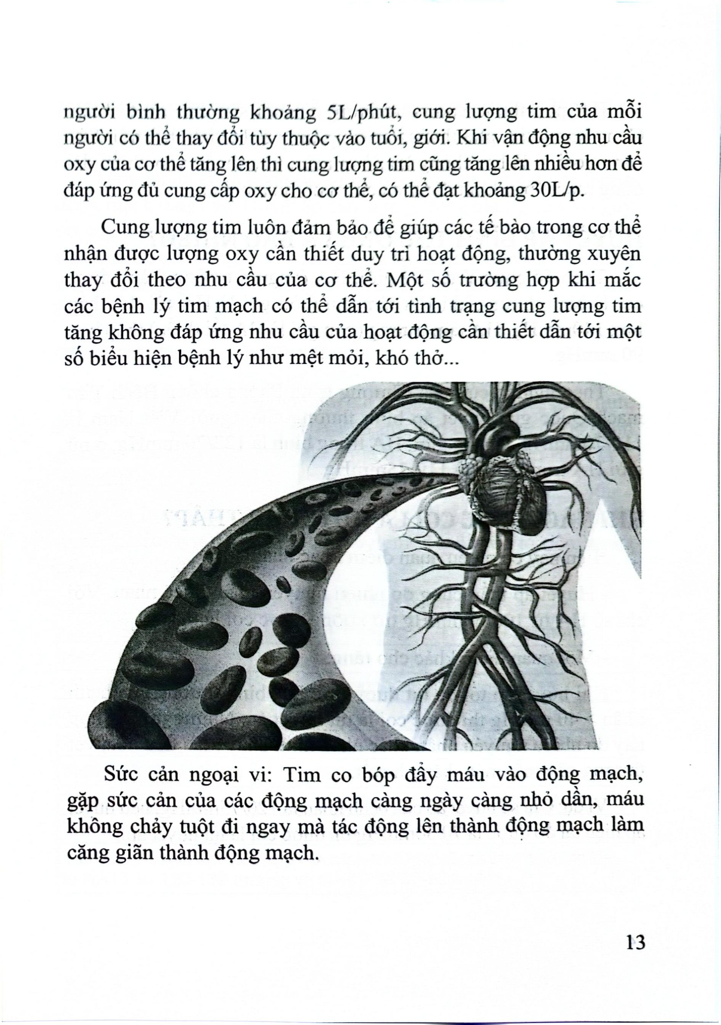 Tăng Huyết Áp Kẻ Giết Người Thầm Lặng - Quách Tuấn Vinh