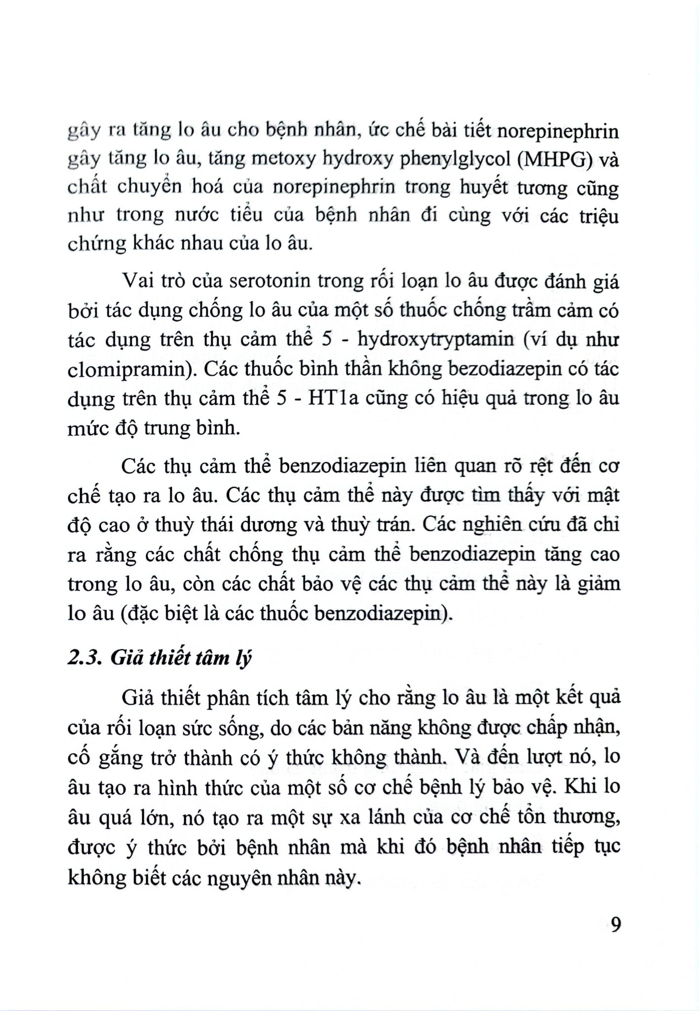 Rối Loạn Lo Âu - PGS. TS Bùi Quang Huy,  ThS. Đỗ Xuân Tĩnh, …