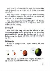 Những Điều Cần Biết Về Bệnh Ung Thư Vú Và Cơ Quan Sinh Dục Nữ - PGS.TS.Lê Đình Roanh