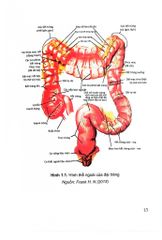 Phẫu Thuật Nội Soi Trong Điều Trị Ung Thư Đại Tràng - TS.BS Hữu Hoài Anh