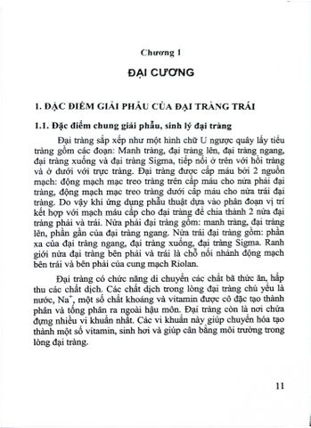  Phẫu Thuật Nội Soi Trong Điều Trị Ung Thư Đại Tràng - TS.BS Hữu Hoài Anh 