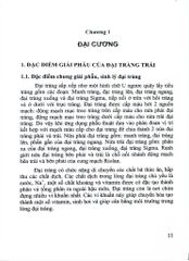 Phẫu Thuật Nội Soi Trong Điều Trị Ung Thư Đại Tràng - TS.BS Hữu Hoài Anh
