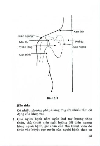  Bấm Huyệt Kéo Dãn Nắn Chỉnh Diện Khớp (2023) - Trần Ngọc Trường 