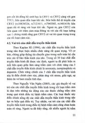 Rối Loạn Tâm Thần Ở Trẻ Em - PGS.TS. Bùi Quang Huy