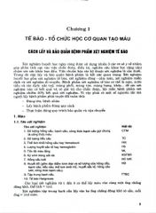 Kỹ Thuật Xét Nghiệm Huyết Học Và Truyền Máu Ứng Dụng Trong Lâm Sàng - Viện HHTMTW: GS.TSKH. Đỗ Trung Phấn