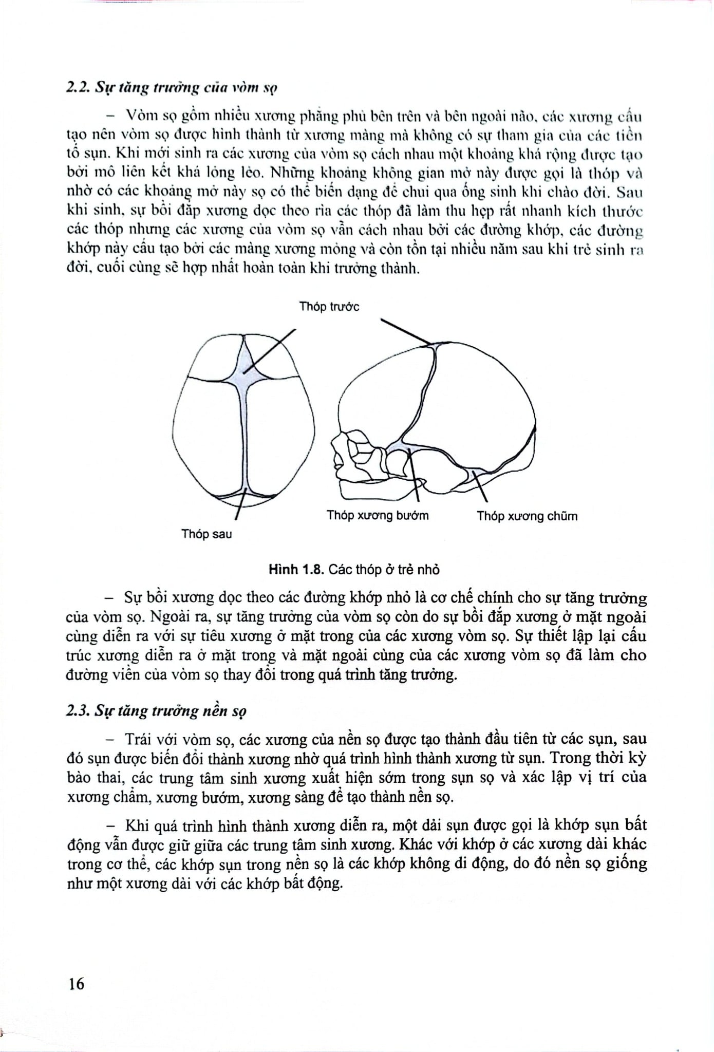 Chỉnh Hình Răng Mặt Cơ Bản - TS. Võ Thị Thúy Hồng