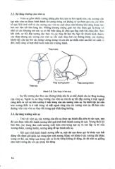 Chỉnh Hình Răng Mặt Cơ Bản - TS. Võ Thị Thúy Hồng