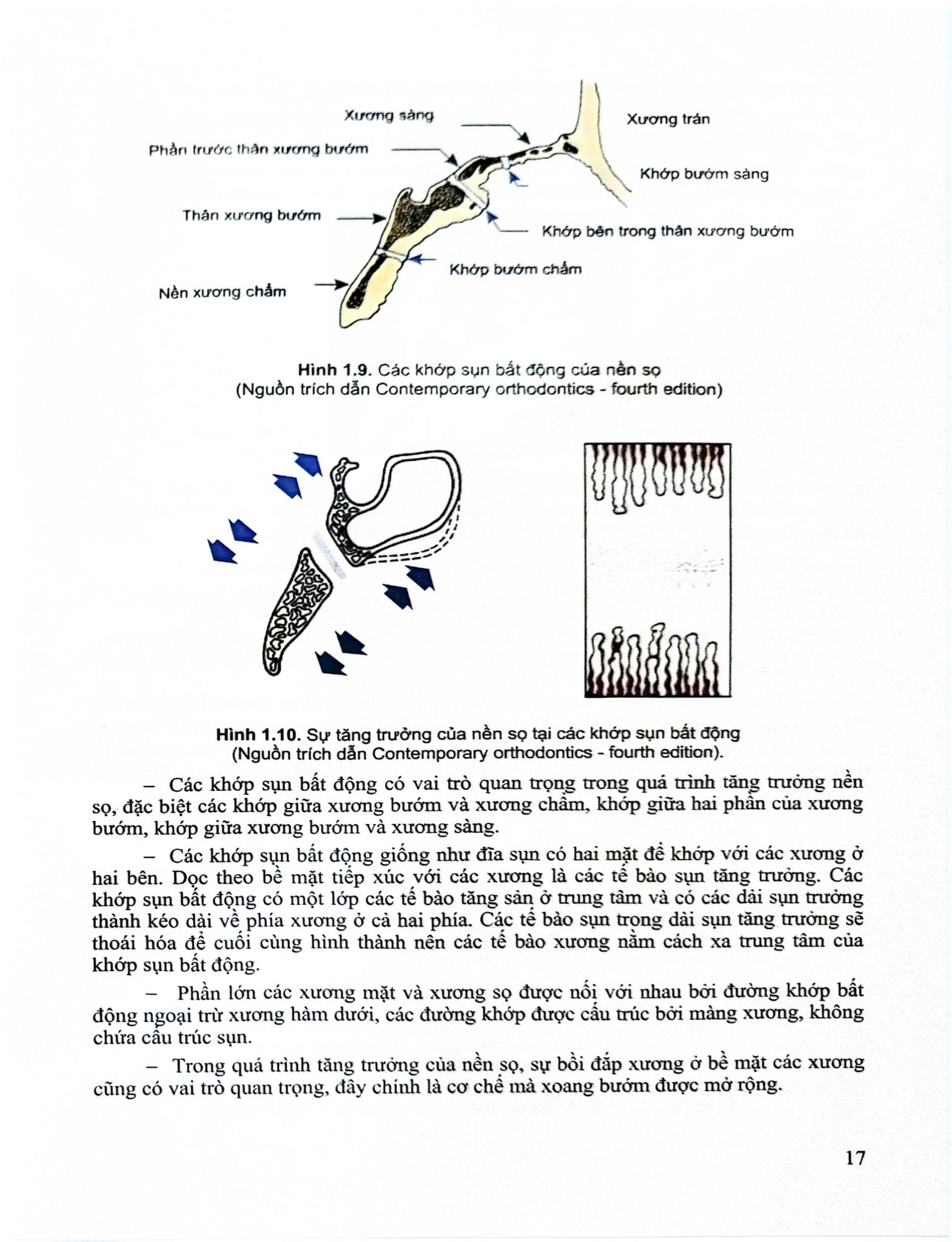 Chỉnh Hình Răng Mặt Cơ Bản - TS. Võ Thị Thúy Hồng