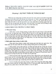 Chỉnh Hình Răng Mặt Cơ Bản - TS. Võ Thị Thúy Hồng