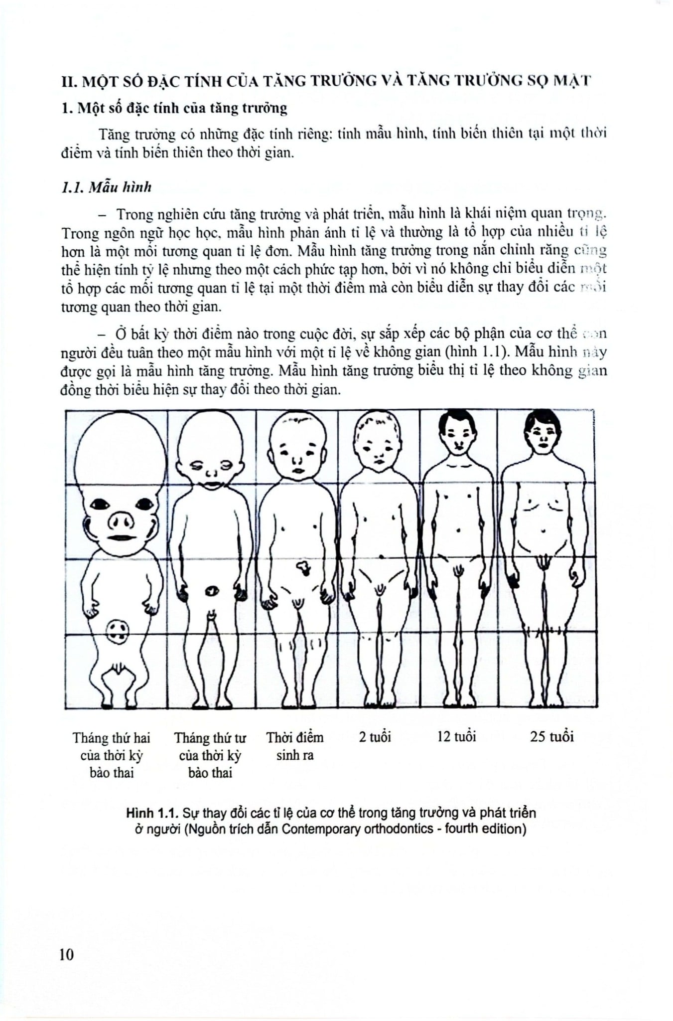 Chỉnh Hình Răng Mặt Cơ Bản - TS. Võ Thị Thúy Hồng