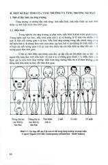 Chỉnh Hình Răng Mặt Cơ Bản - TS. Võ Thị Thúy Hồng