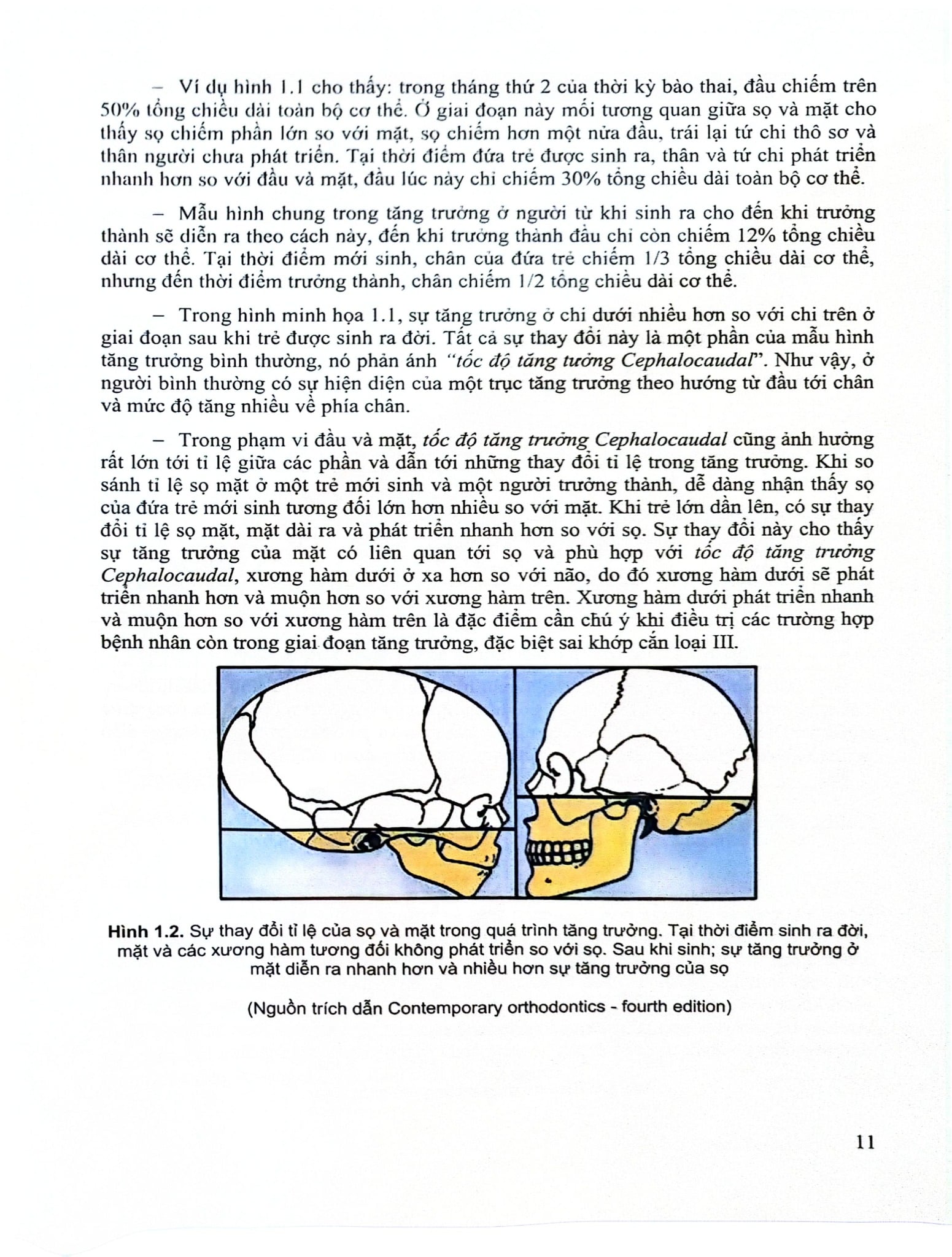 Chỉnh Hình Răng Mặt Cơ Bản - TS. Võ Thị Thúy Hồng