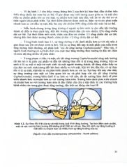 Chỉnh Hình Răng Mặt Cơ Bản - TS. Võ Thị Thúy Hồng