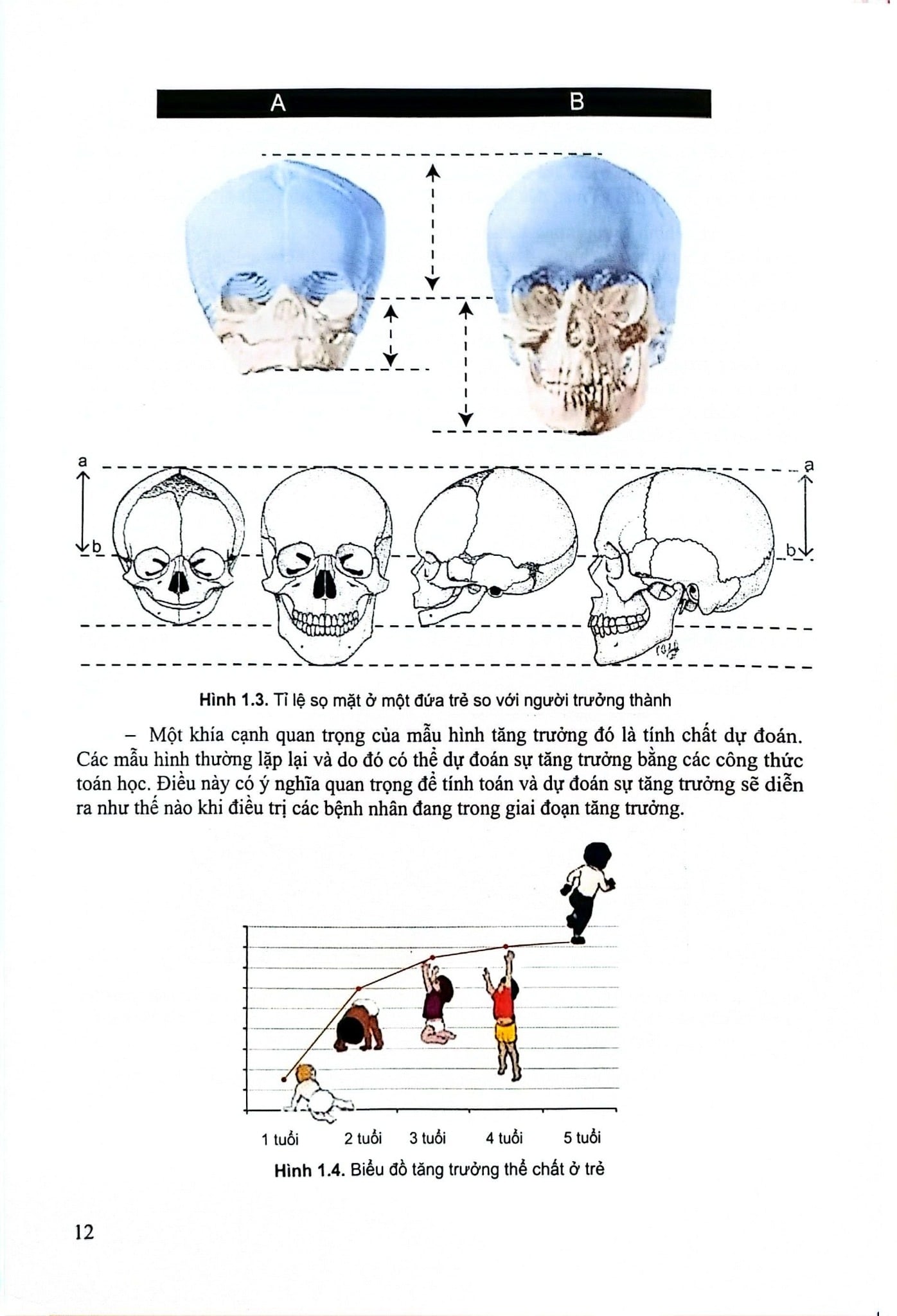 Chỉnh Hình Răng Mặt Cơ Bản - TS. Võ Thị Thúy Hồng