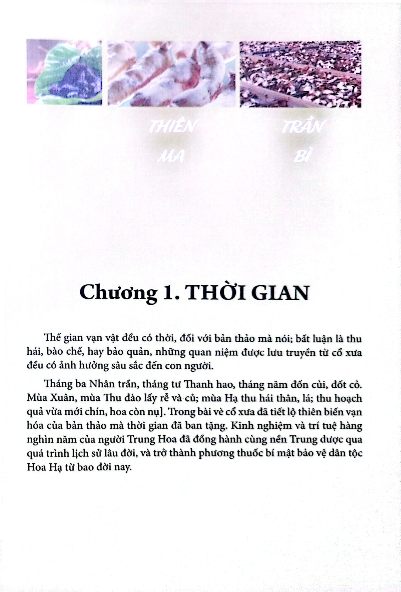 Trung Quốc Bản Thảo - Tống Yến