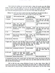 Mô Phôi Phần Mô Học (Sách Đào Tạo Bác Sĩ Đa Khoa) - ĐH Y Hà Nội, GS.TS. Trịnh Bình