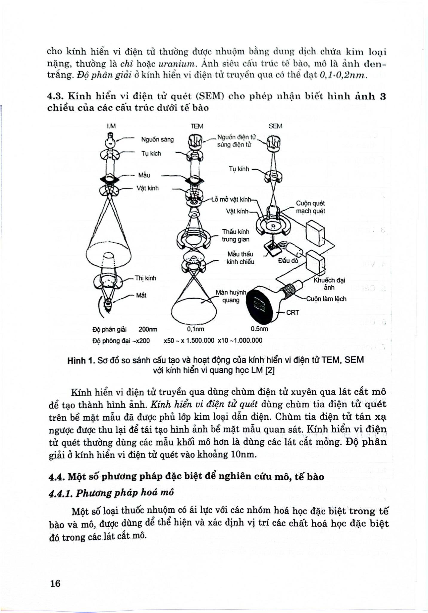 Mô Phôi Phần Mô Học (Sách Đào Tạo Bác Sĩ Đa Khoa) - ĐH Y Hà Nội, GS.TS. Trịnh Bình